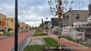 Buizerdlaan voorzien van bomen en werkzaamheden Koriander