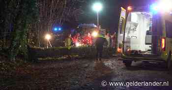 Fietser overleden door omvallende boom in Lochem