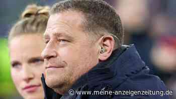 „Neues Abenteuer oder Bayern-Legende“: Eberl wartet auf Kimmich-Entscheidung