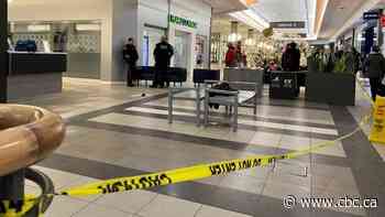 2 men stabbed in unprovoked attack at Polo Park shopping centre: police