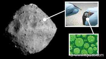 Japan's priceless asteroid Ryugu sample got 'rapidly colonized' by Earth bacteria