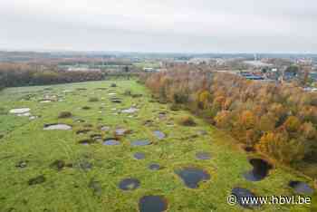 Natuurpunt gaat ook komende 27 jaar natuurreservaat Tommelen bij Hasselts station beheren