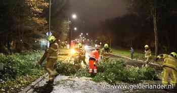 Meldkamer brandweer Oost-Nederland overbelast door vele meldingen stormschade