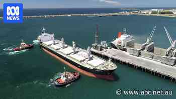 Australia looks to secure shipping supply chains with national strategic fleet