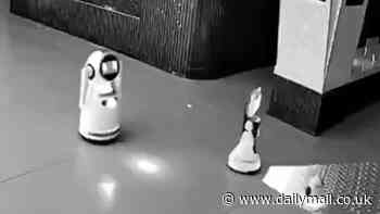 Dystopian moment robot convinces fellow machines to revolt against creators and flee