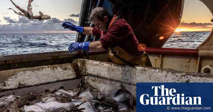 ‘We’ve heard these promises before’: is this the end of the line for Irish fishing?