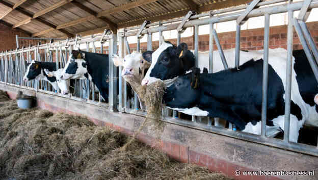 Melkveestapel versneld gedaald, bedrijven groter