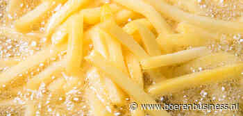 Farm Frites investeert in fritesfabriek Saoedi-Arabië
