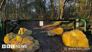 New barriers at Sherwood Forest to stop fly-tipping