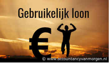 Drie standpunten over gebruikelijk loon