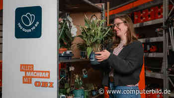 Too Good To Go: Hier können Sie jetzt auch Pflanzen retten