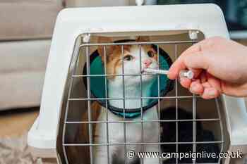 Elanco animal care switches media after indie-only pitch