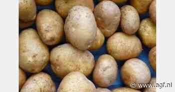 Opnieuw Kritiek op McDonald’s: "Aardappelras voor friet niet duurzaam genoeg"