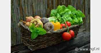 Telers worstelen met bio-groenten: "Accepteren we minder perfecte groenten?"