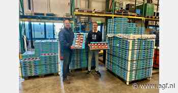 "Door hoge prijs nu ook kleine Egyptische aardbeien populair voor in de chocolade op Duitse kerstmarkten"