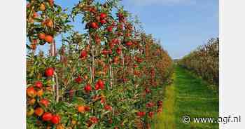 "Het is misschien wel een van de moeilijkste seizoenen geweest wat het weer betreft"