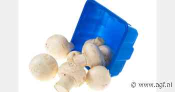 Is het blauwe champignonbakje aan vervanging toe?