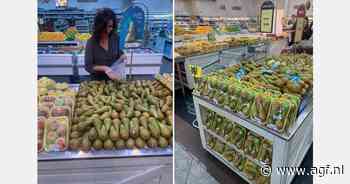 "Er ligt een groot potentieel in Brazilië, waar Conference steeds populairder wordt"