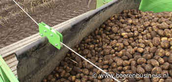 Holman ontketent onterechte aardappelhetze