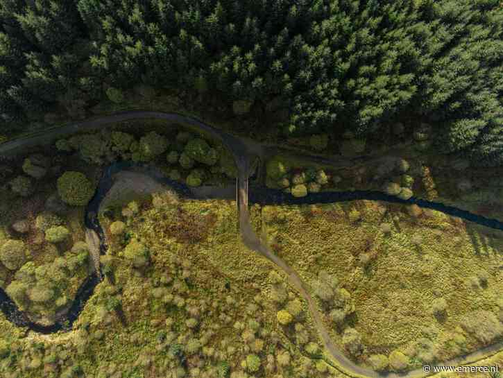 [DDMO ’24] Deep Dive 2: Soft skills belangrijk in datagedreven marketingsector