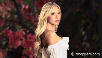 Mastering Curves Across Platforms: Essential Techniques for Creators