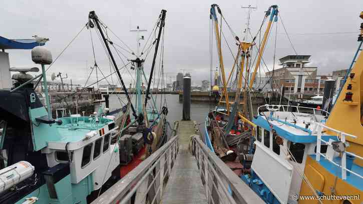 Voor het eerst in 35 jaar geen ‘Vis van het Jaar’ in België