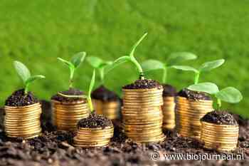 Populariteit groen beleggen sterk gestegen