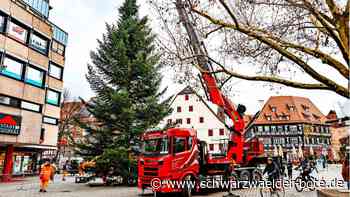 Adventszeit in Nagold: Und plötzlich ist schon wieder Weihnachten
