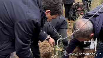 Una microforesta a Vigne Nuove