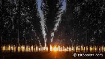 Contre-Jour Photography: A Detailed Guide