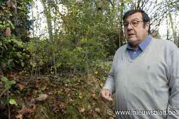 Inwoners Fonteinstraat verzetten zich tegen aanleg speelpleintje achter hun tuinen: “Laatste stukje natuur verdwijnt”