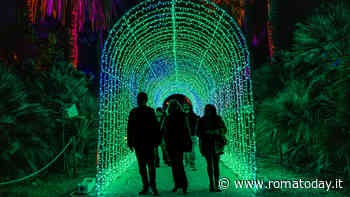 Weekend a Roma: 13 eventi da non perdere sabato 30 novembre e domenica 1 dicembre