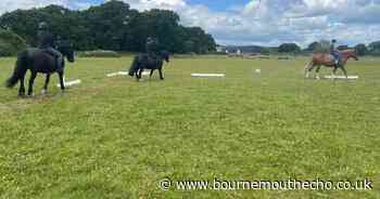 Huge rise in children using horse therapy at riding centre