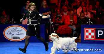 Where to watch the 2024 National Dog Show