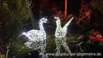 Christmas Garden Augsburg 2024: Tickets, Öffnungszeiten, Termine und Anfahrt