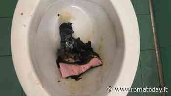 In un liceo di Roma bruciati e gettati nel wc i manifesti contro la violenza sulle donne