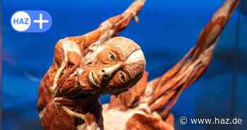 Die „Körperwelten“-Ausstellung kommt erstmals nach Hannover