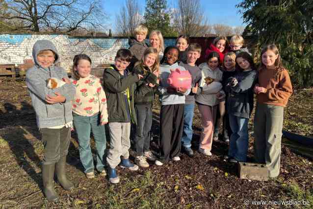 Basisschool zamelt geld in voor nieuwe stal voor hangbuikvarken en schoolmascotte Betsy: “Honderden roze spaarvarkentjes om te vullen”