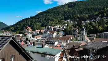 Grundsteuer in Bad Wildbad: Reform „vermurkst“: So viel zahlen Hausbesitzer künftig