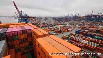 Hamburger Hafen: Großreederei MSC steigt ein