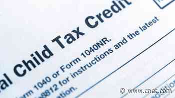 Which States Offer a Child Tax Credit?