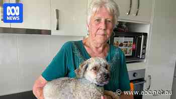 Living in a donga after retirement village unit roof collapse, 84yo calls for clarification of responsibilities