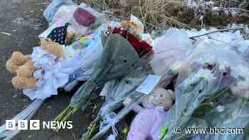 Baby remains were newborn girl, police say