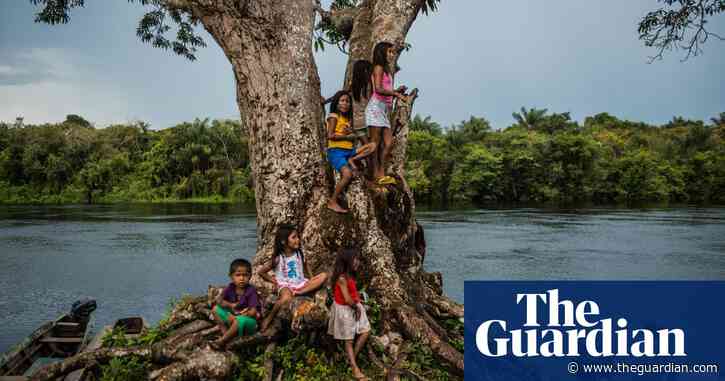 What’s behind the alarming rise in birth defects in Brazil’s illegal gold mining capital?