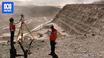 'Red tape' blocking international workers pushes outback business owner to the brink of collapse