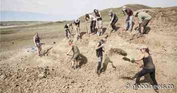 First-of-its-kind dinosaur fossil reveals look at Saskatchewan 75 million years ago