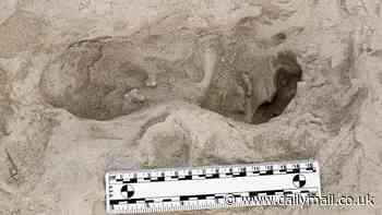 Footprints left 1.5mn years ago in Africa reveal secrets about human evolution