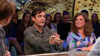 Een onverwachte gast: Amerikaanse slang nu ook in Nederland (en bij Beau)