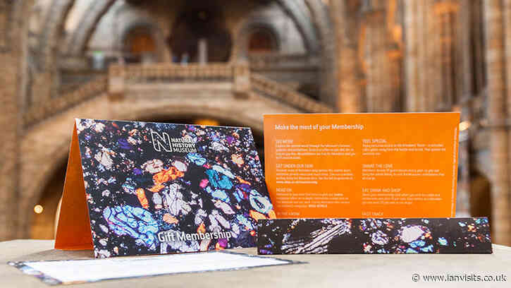 Why museum memberships make the perfect Christmas present