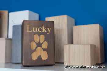 Huisdieren mogen voortaan met hun baasjes worden begraven in Genk